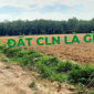 Đất CLN là gì? Đất CLN có chuyển đổi sang thổ cư được hay không?
